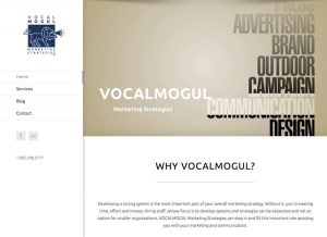 Read more about the article VocalMogul