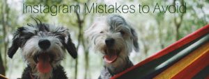 Read more about the article Dethrone the Dog Photo | Instagram Mistakes to Avoid